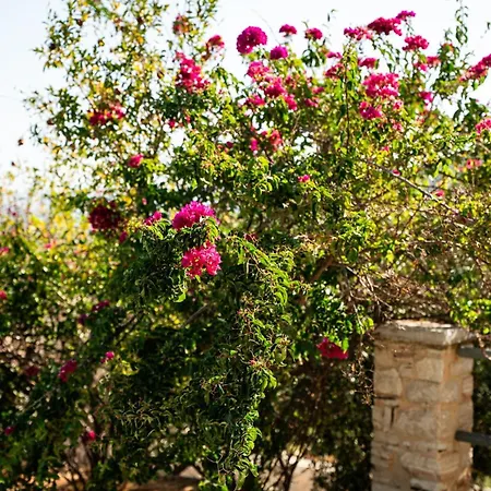 Hills, Spectacular Sea View * Nafplion