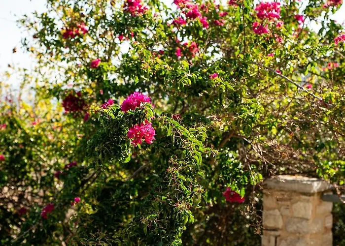 Hills, Spectacular Sea View * Nauplia